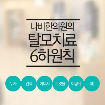 6하원칙 순서 글 작성 꿀팁 영어_23