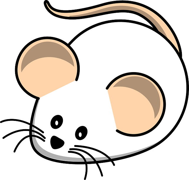 2024년 쥐띠 운세 갑진년 신년 운세