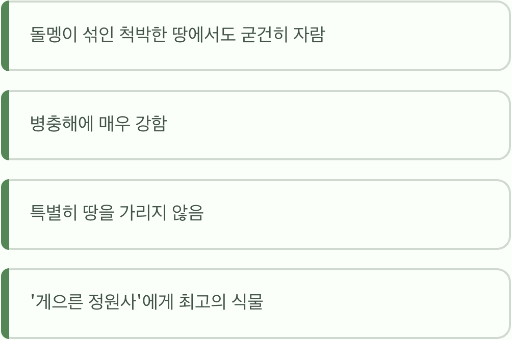 억척스러운 생명력, 척박한 땅의 개척자