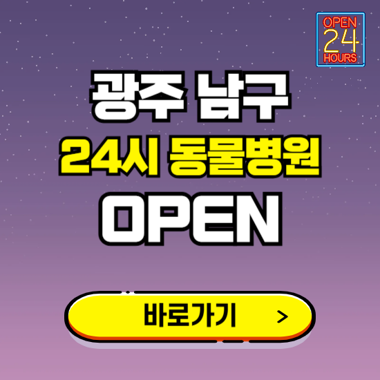 광주 남구 24시 동물병원 진료하는 곳 ❘ 설날 휴일 야간 심야 문여는곳 찾기 ❘ 응급진료