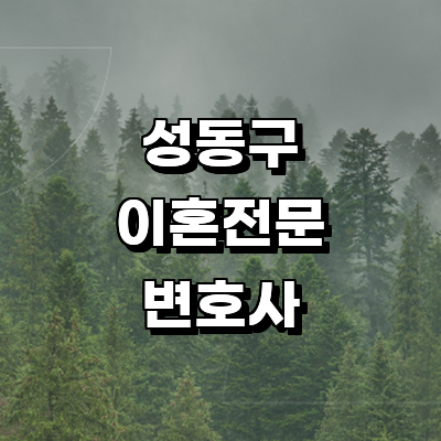 서울 성동구 이혼 변호사