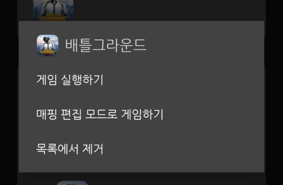 게임 실행