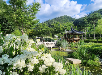 강원권 수국명소 추천 7곳, 여름 여행지로 꼭 가봐야 할 인생샷 스폿 총정리