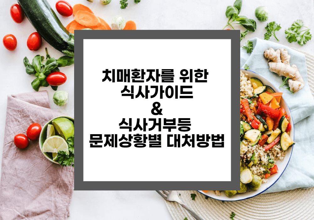 치매환자를 위한 식사가이드 및 식사거부등 문제상황별 대처방법