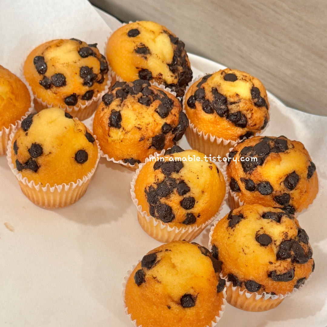 세종학당_사전교육_무제한간식 