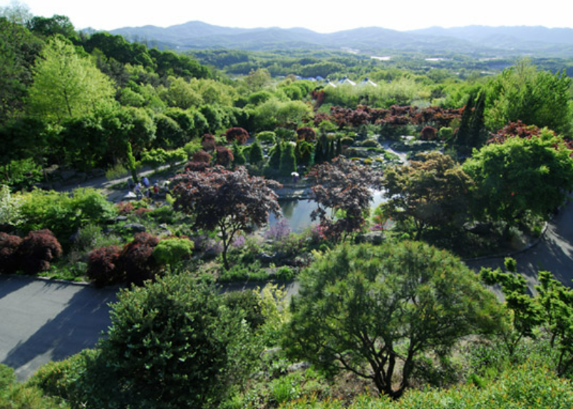 용인 한택식물원 안내