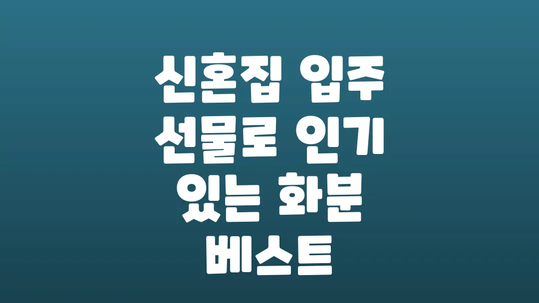 신혼집 입주 선물로 인기 있는 화분 베스트