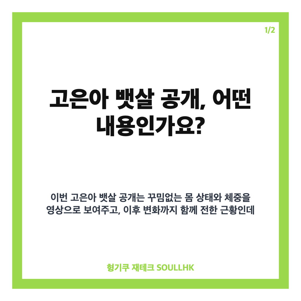 고은아 뱃살 공개, 방가네 다이어트 2주 만에 3.3kg 감량 근황 카드뉴스 1
