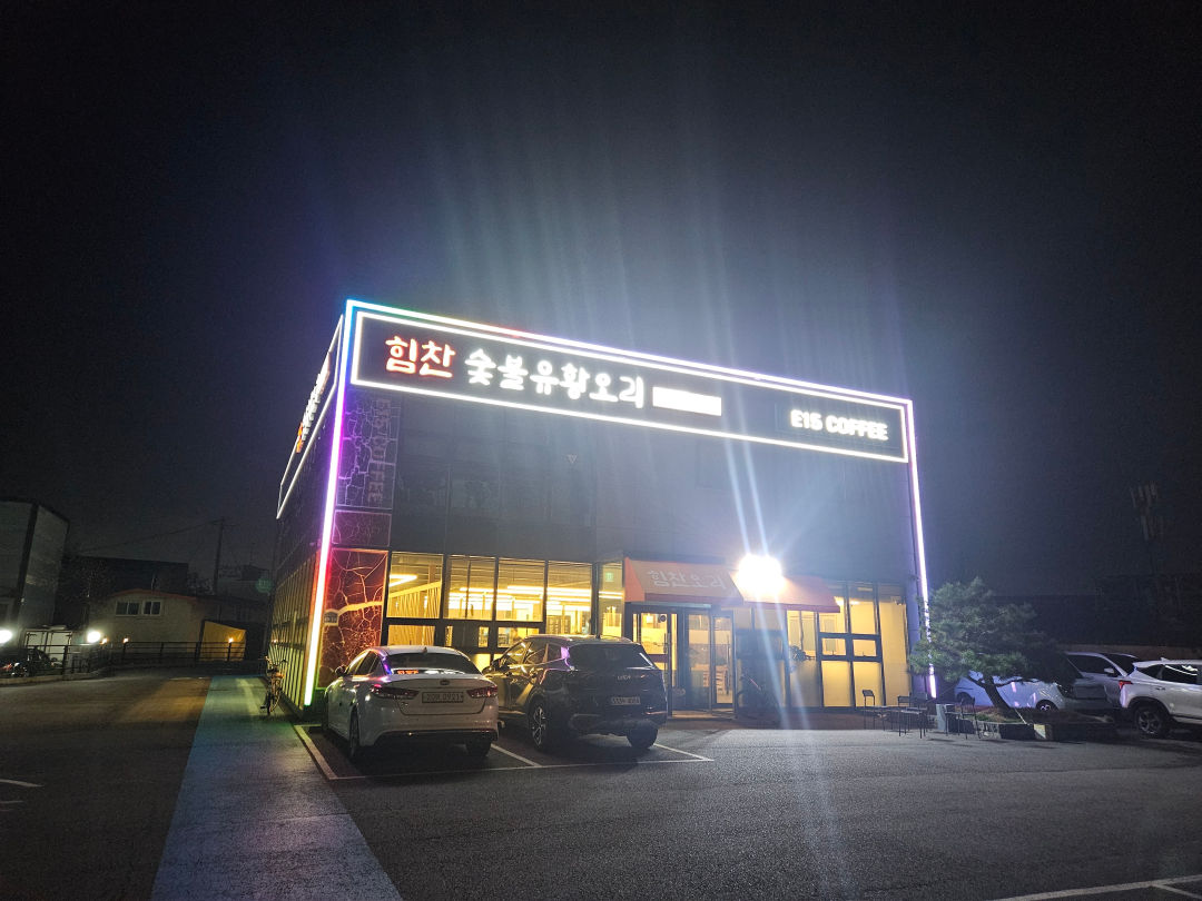 힘찬 숯불 유화 오리