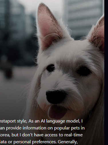 유튜브쇼츠만들기