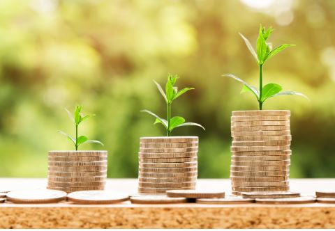 암보험 비갱신형