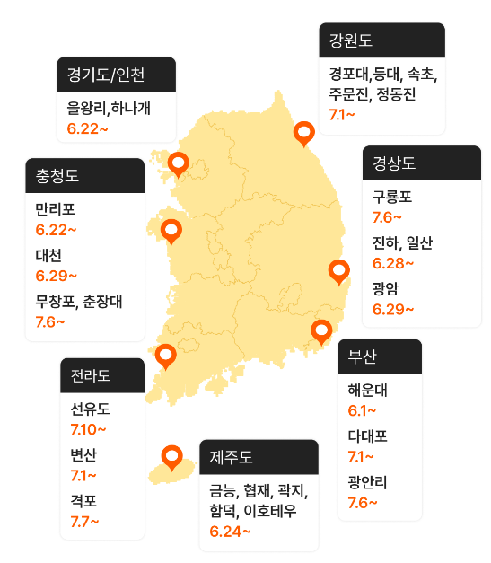 해수욕장 개장