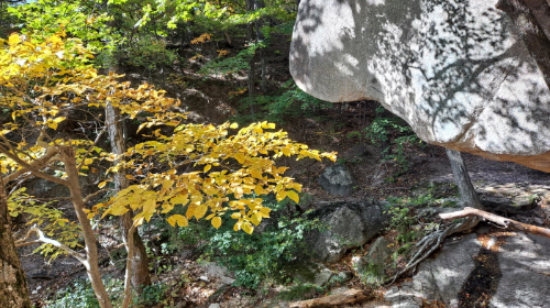 설악산_단풍여행_총정리