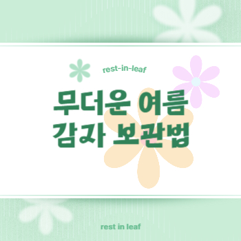 감자보관법