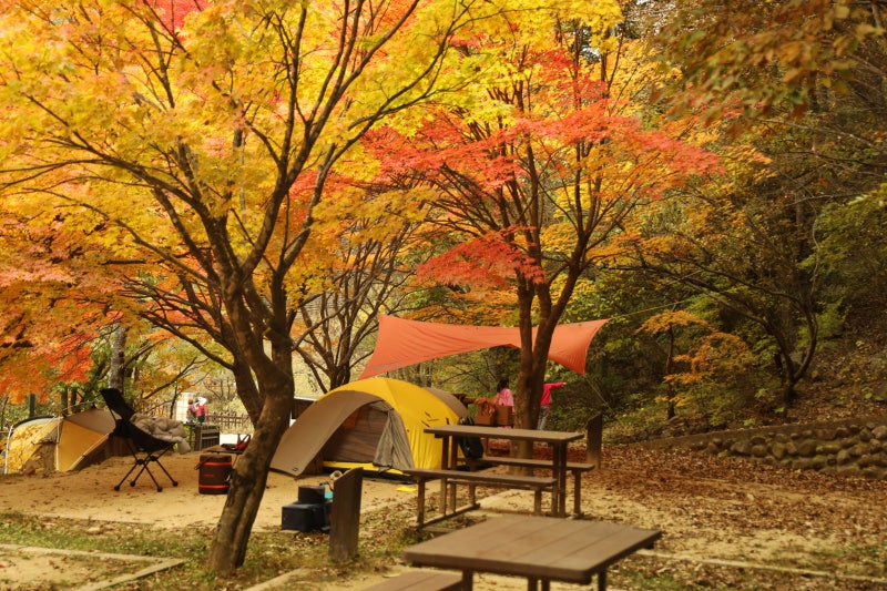 남원시 뱀사골 힐링야영장 소개