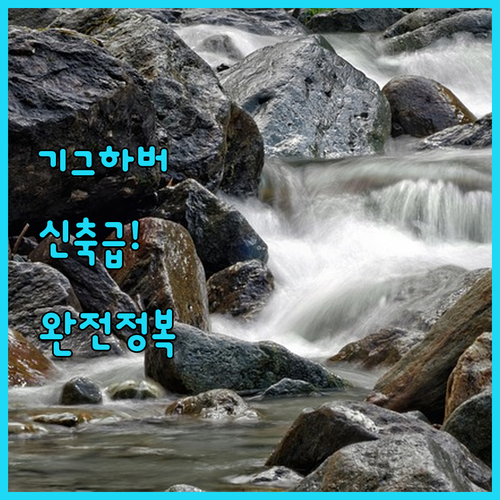 미국 워싱턴주 기그 하버 숙소 추천 ..