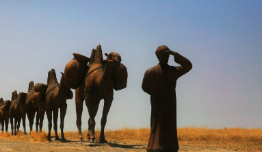 실크로드는 단순한 교역로였을까?