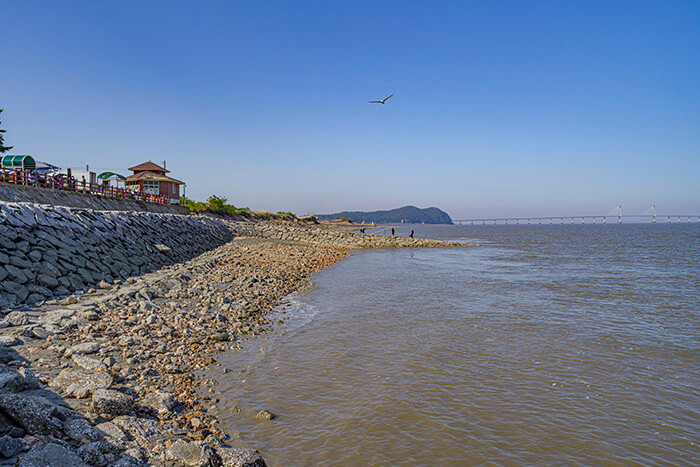 가을 섬^ 교동도, 대부도, 금오도, 조도, 추자도, 5개의 섬 여행