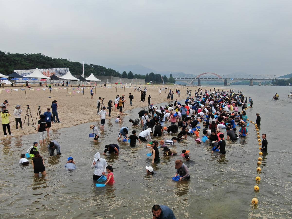 하동섬진강 문화재첩축제 / 홈페이지