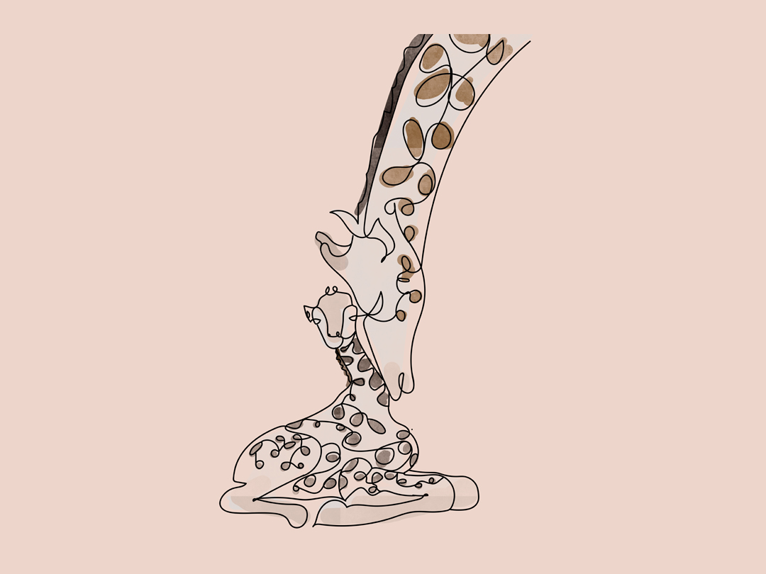 25년 9월 16일 말씀 카드 성경구절 : 보시고 가엾은 마음이 드시어 그에게, &ldquo;울지 마라.&rdquo; 하고 이르셨다. (루카 7,13)