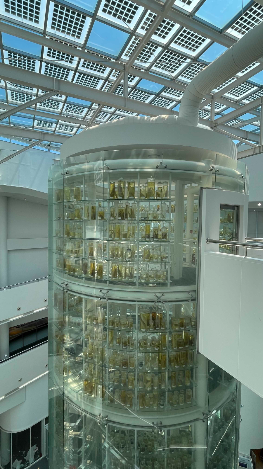 장항 국립해양생물자원관 씨큐리움