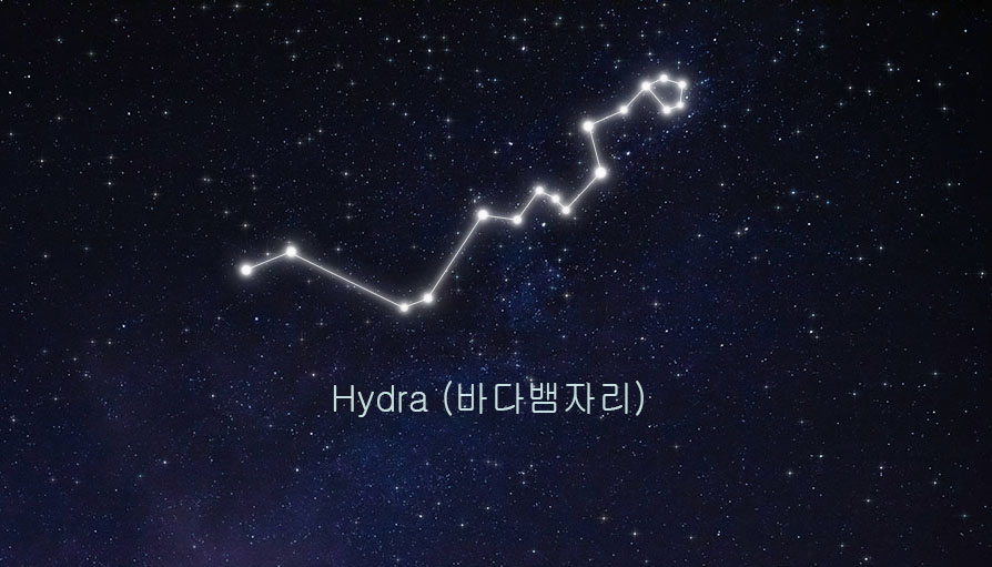 히드라 관련 이미지