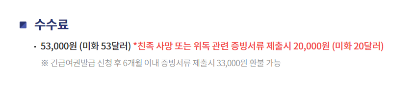 여권 발급 소요 기간