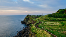 최저가 제주도 항공권 예매