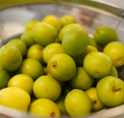 매실 효능과 부작용 고르는법 칼로리