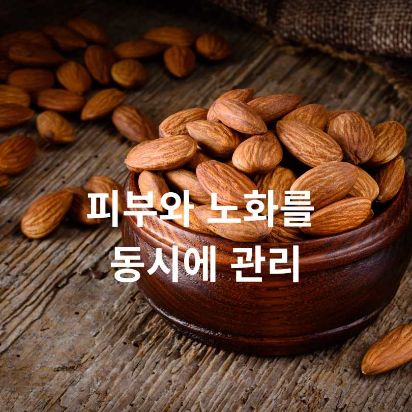 아몬드 효능과 부작용, 하루 섭취량 총정리