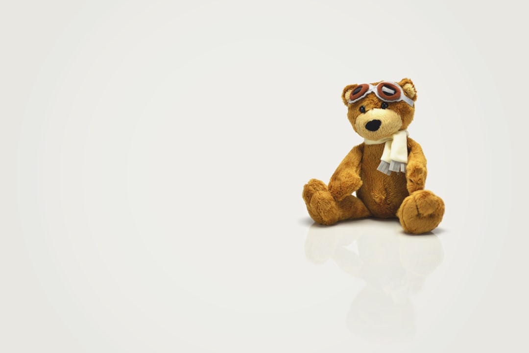 Toy