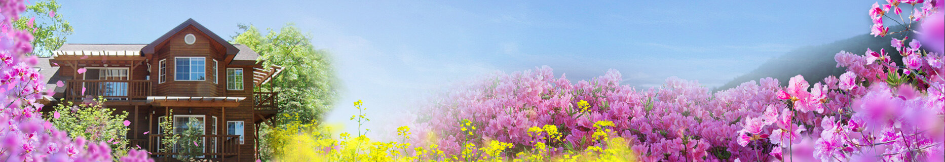 유명산 자연휴양림