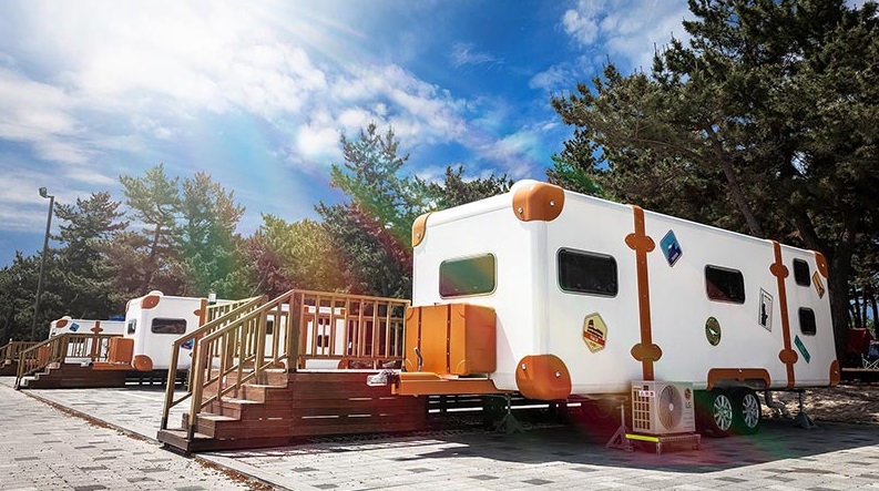 연곡 솔향기 캠핑장 예약