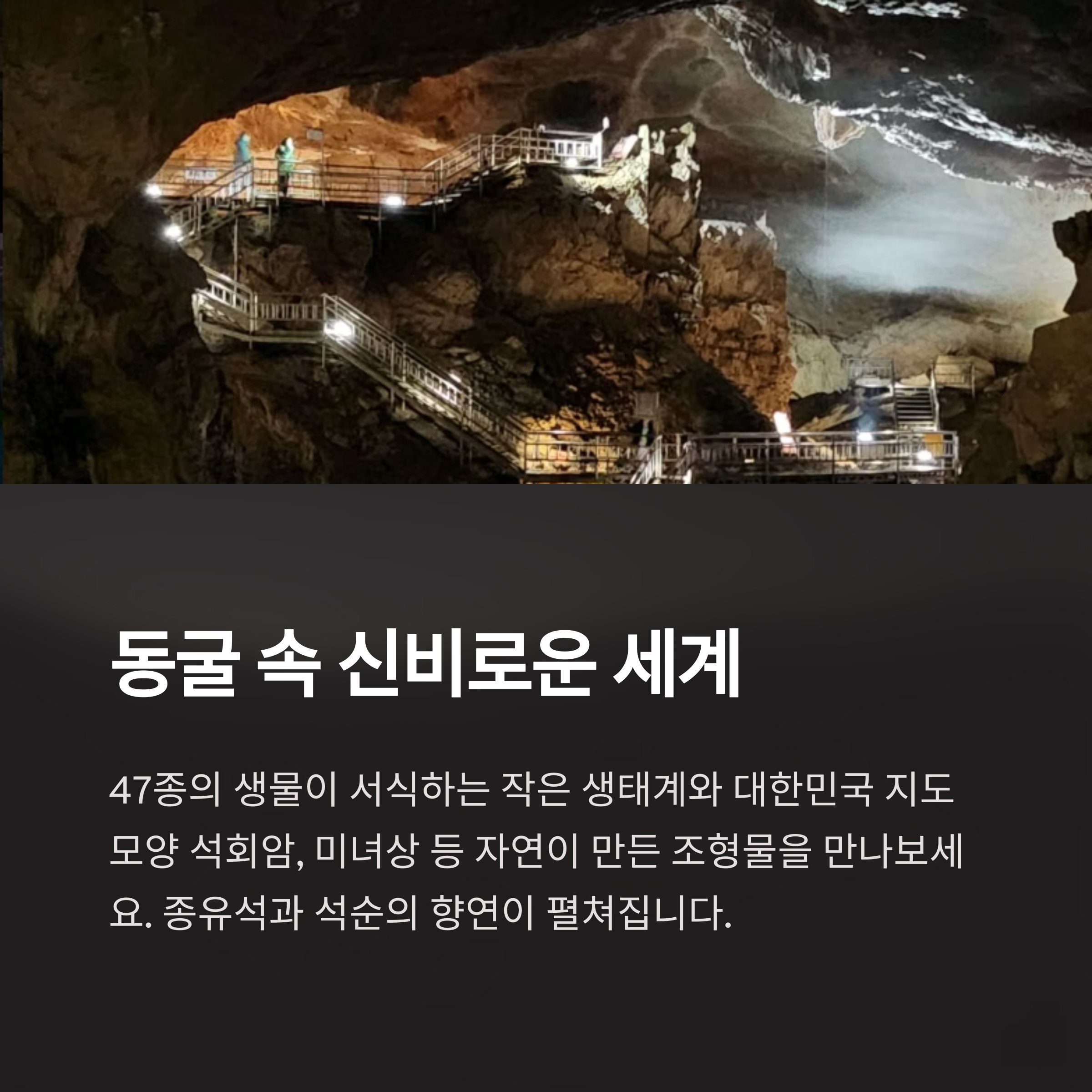 동굴 속 신비로운 세계