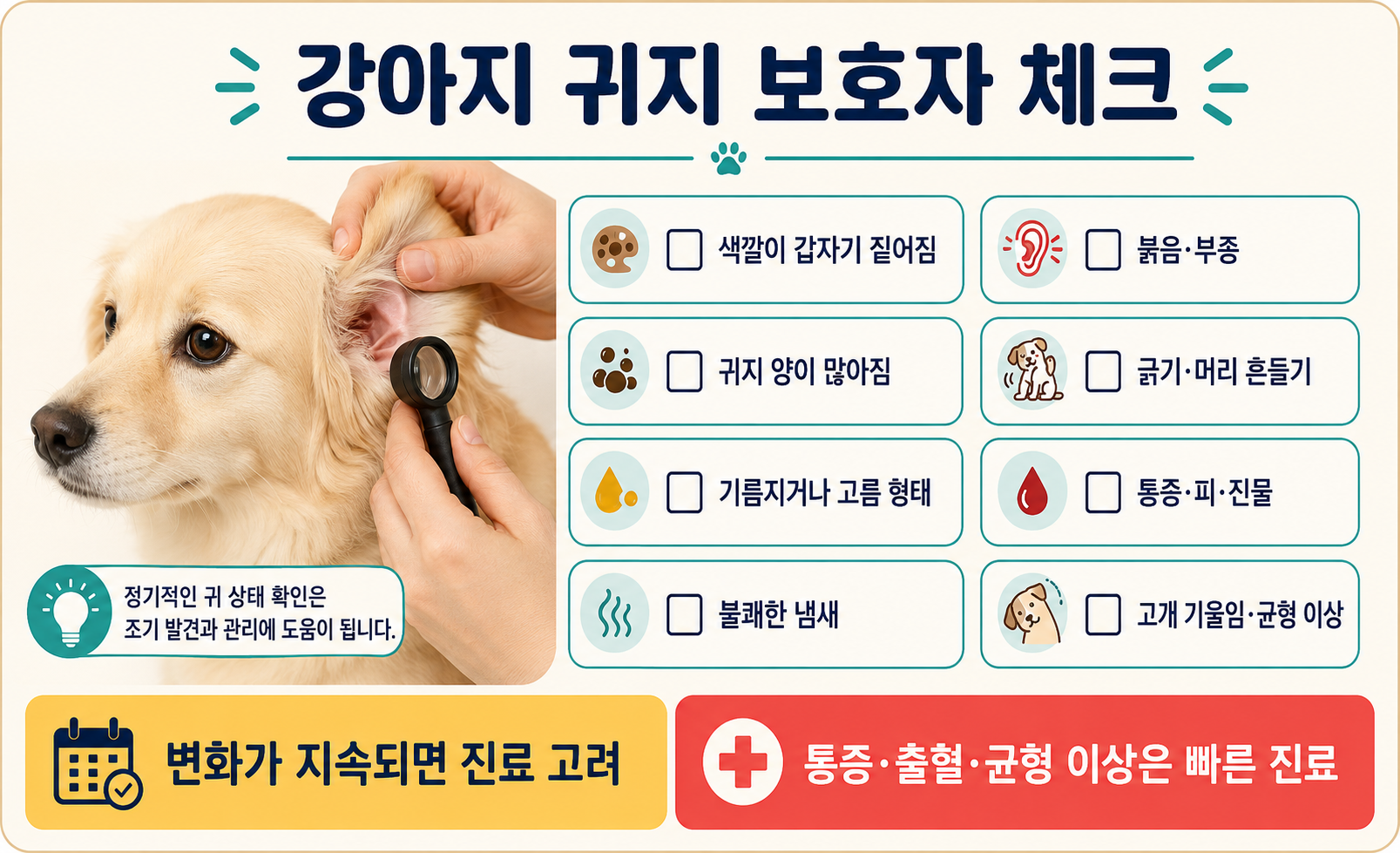 강아지 귀지 색깔&middot;양&middot;냄새와 귀 긁기&middot;머리 흔들기&middot;통증을 확인하는 보호자 체크리스트