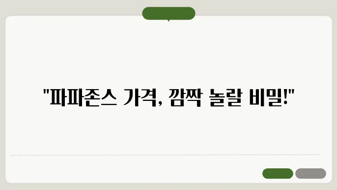 파파존스 피자 메뉴 가격