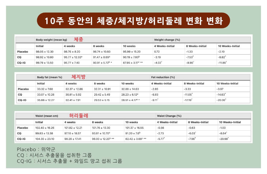 시서스 추출물 체중 감량 효과
