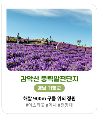 가을&amp;#44; 가을꽃 여행지 추천