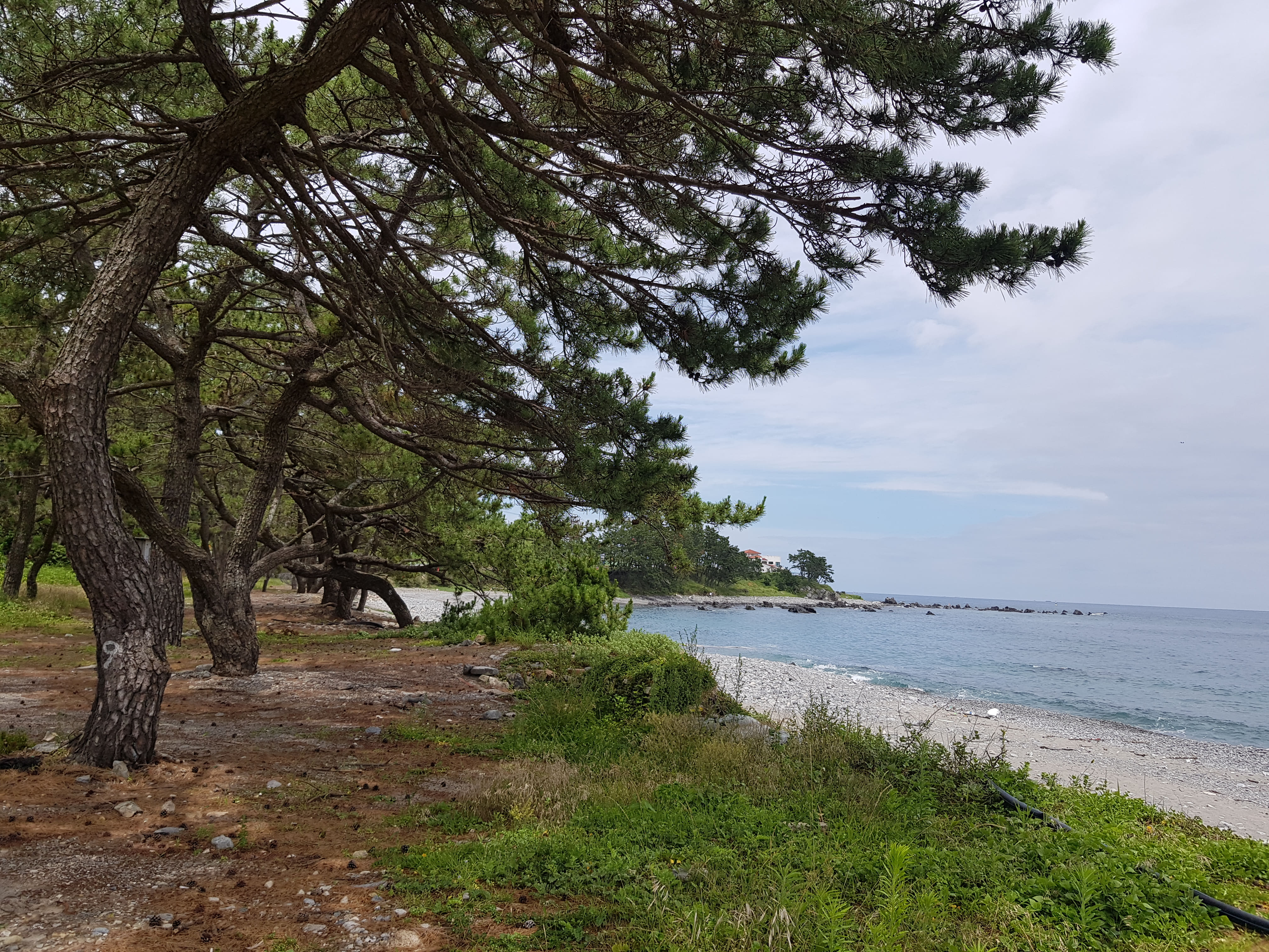 토지투자에 꼭 알아야 할 대한민국 인구 소멸지역 best 10