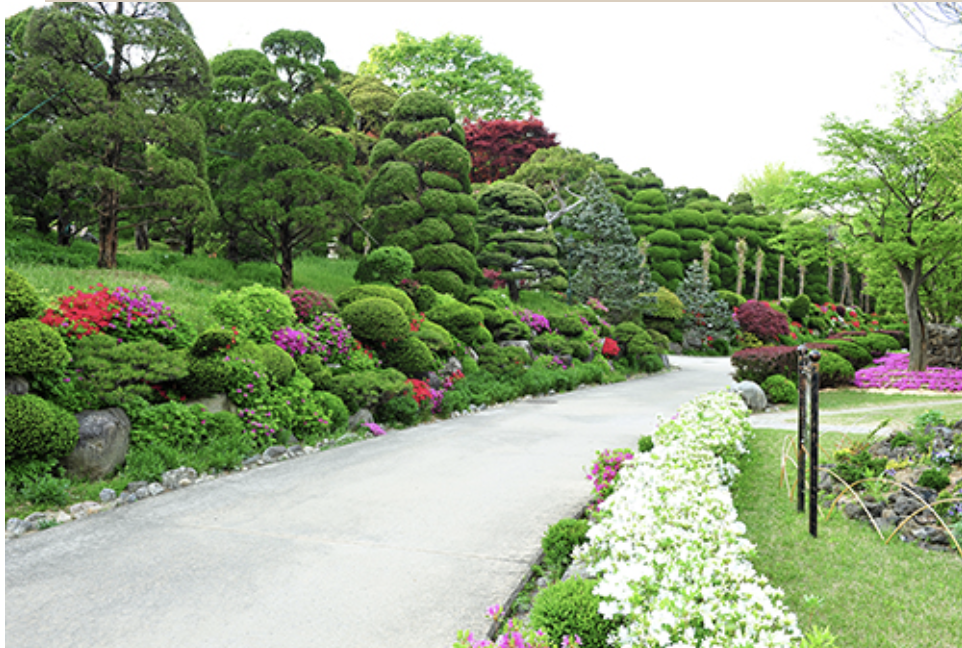 베어트리파크 단풍축제