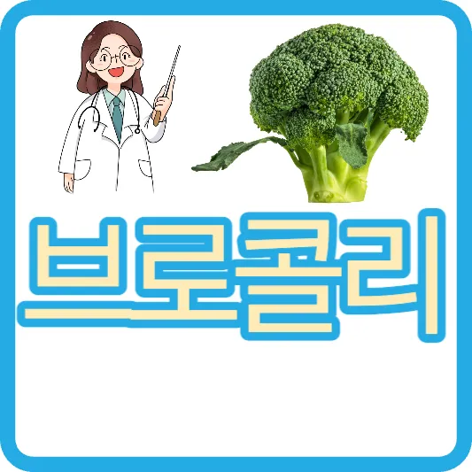 국산 중국산 브로콜리 차이점 고르는방법 중국산 브로컬리 브로콜리 보관법