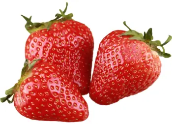 딸기 가격 및 효능 영양성분