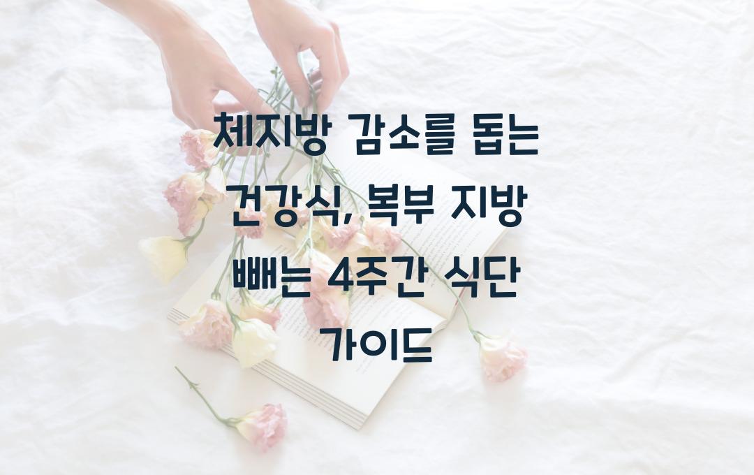 체지방 감소를 돕는 건강식, 복부 지방을 빼는 식단 가이드