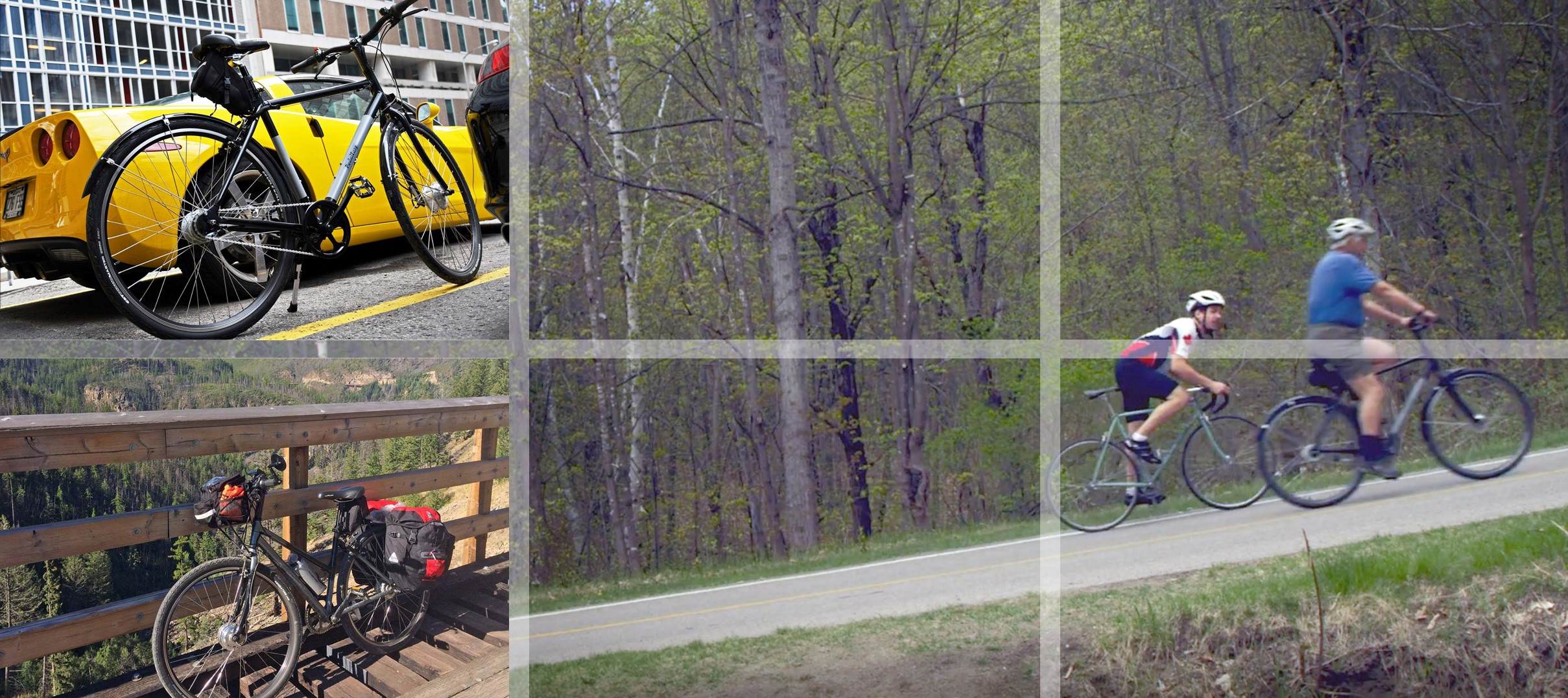 컷 PedalEasy 대문사진 뷰