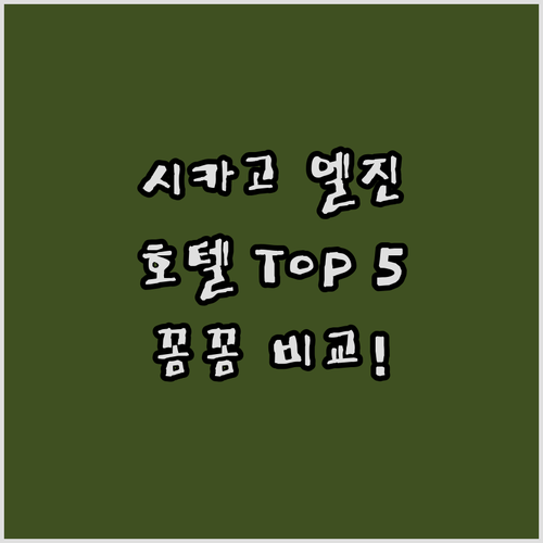 시카고 엘진 추천 호텔 Top 5 꼼..