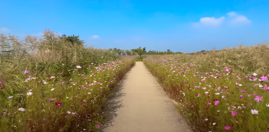 당일치기-여행