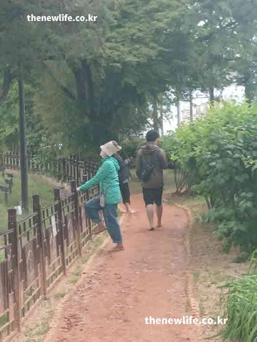 맨발걷기 효능 수면의 질 개선