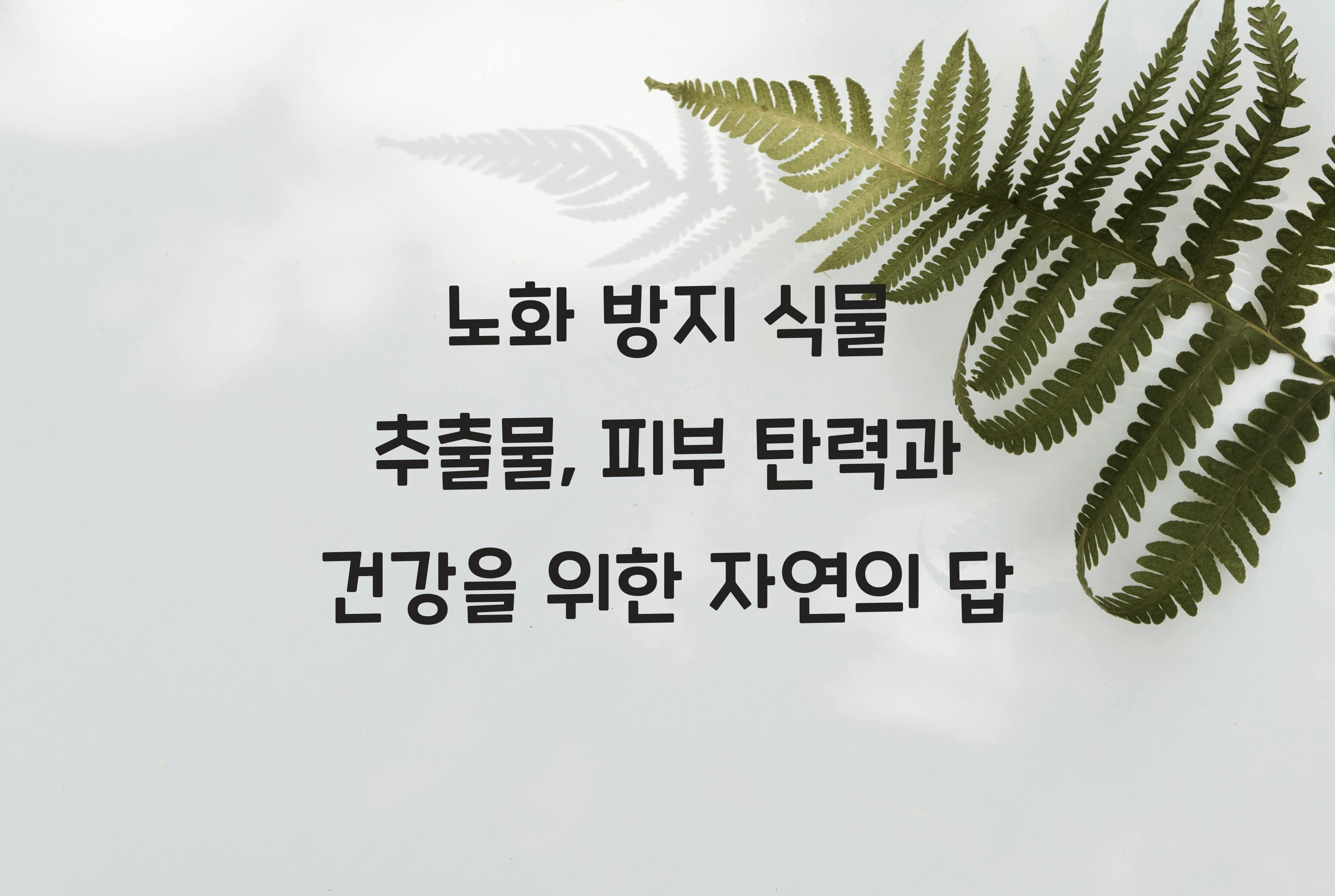 노화 방지 식물 추출물