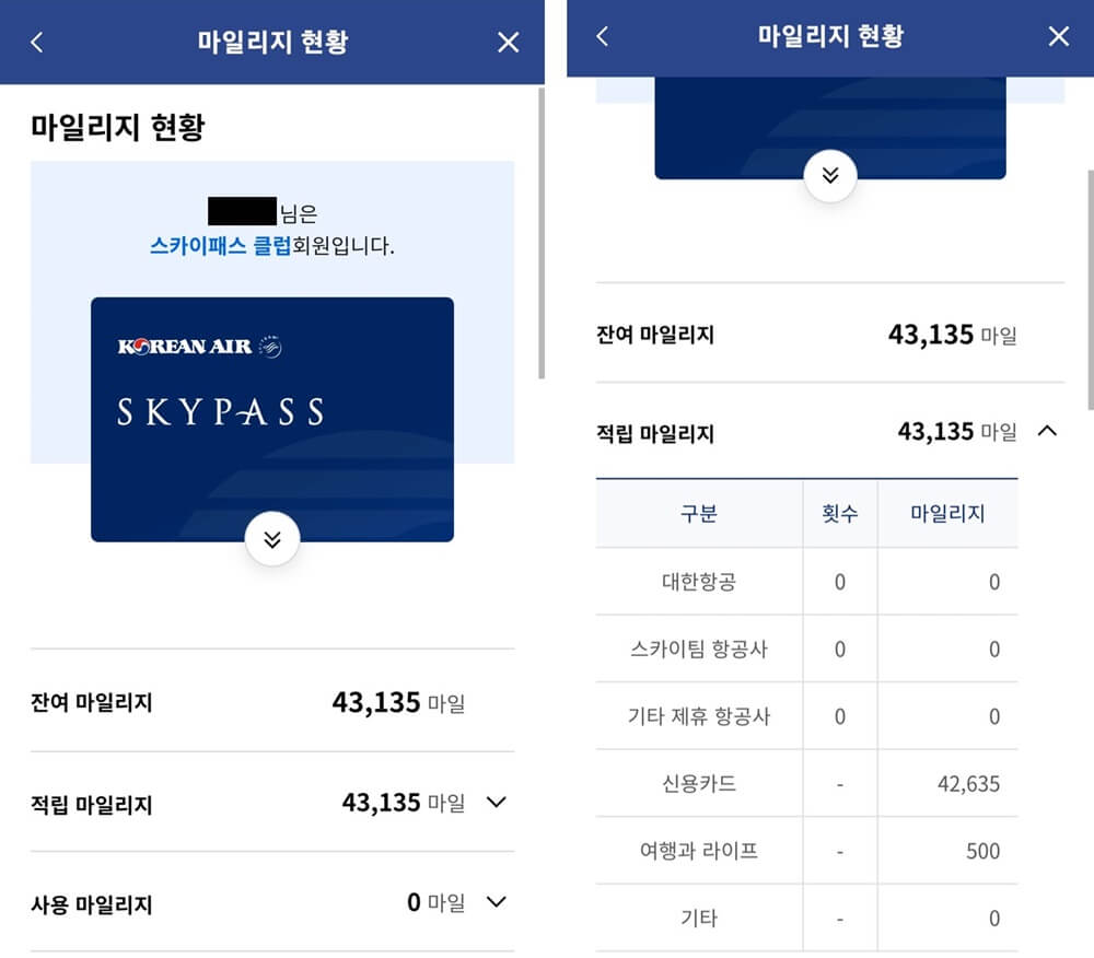 대한항공 어플에서 스카이패스 마일리지 내역을 보여주는 화면