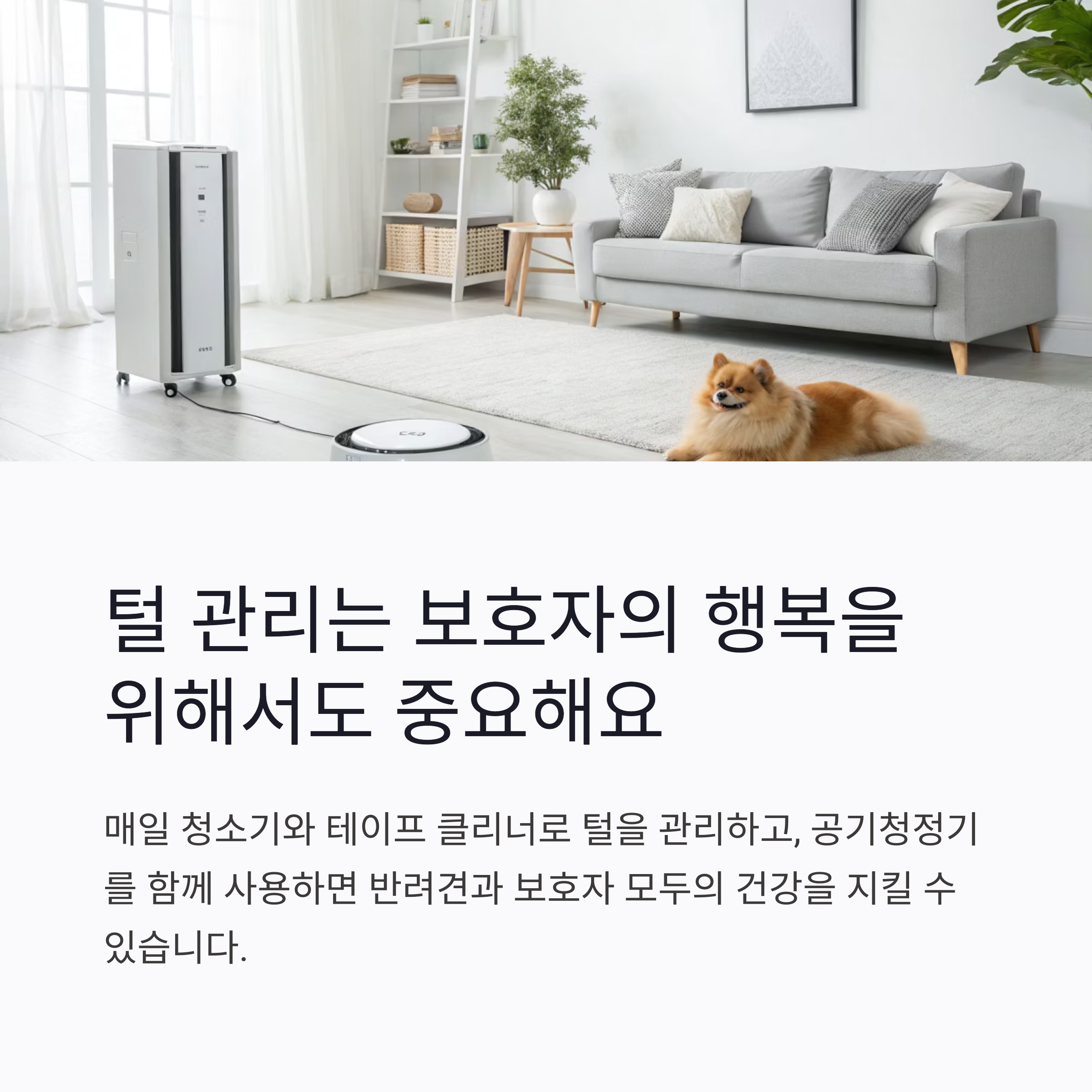 털 관리는 보호자의 행복을 위해서도 중요해요